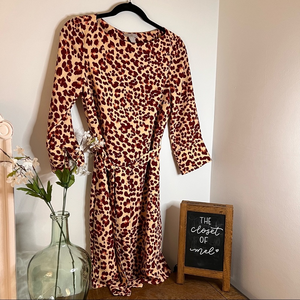 H&M Spotted Dress